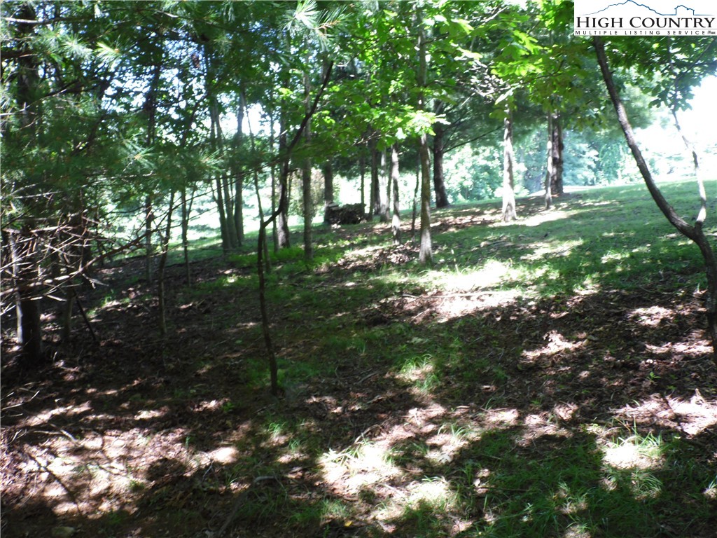 Tbd Hickory View Drive 34 Property Photo 1