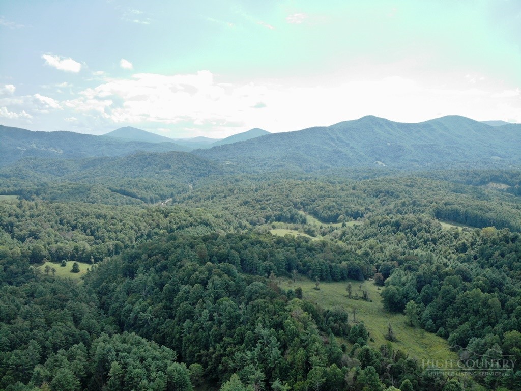 979 Wagon Road Property Photo 6