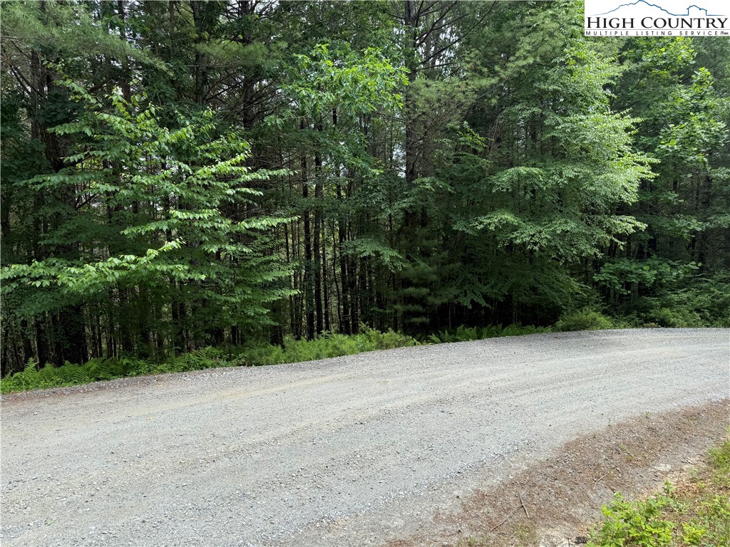 TBD (Lot 62) Dave's Connector Road Property Photo 1