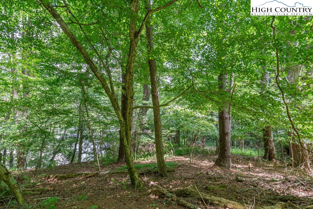 Lot 255/256 Lakeside Drive Property Photo 1