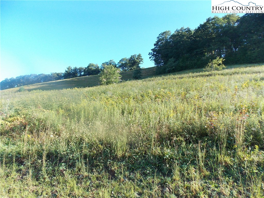 Lot 29 Hartley Knob