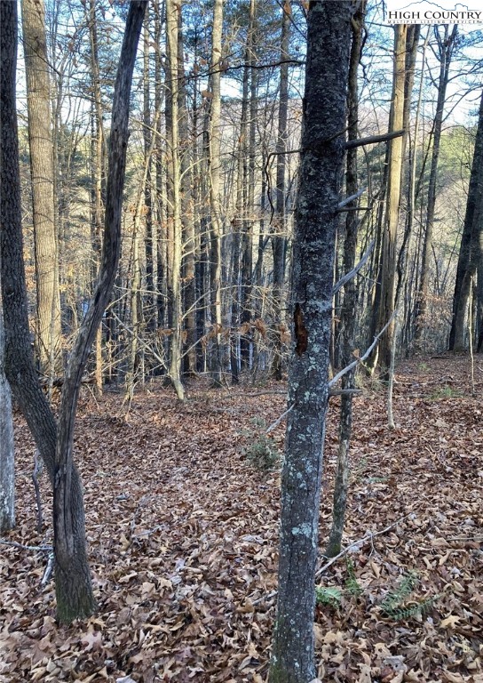 Lots 1 & 2 Toe River Lane Property Photo 4