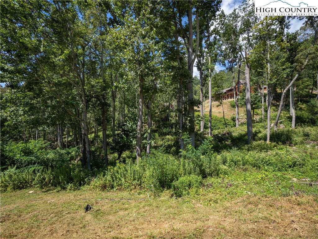 Lot V79 Tioga Trail Property Photo 6