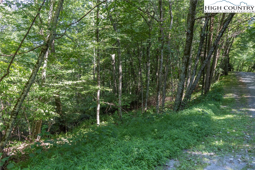 Lot 1 Wyeth Drive Property Photo 4