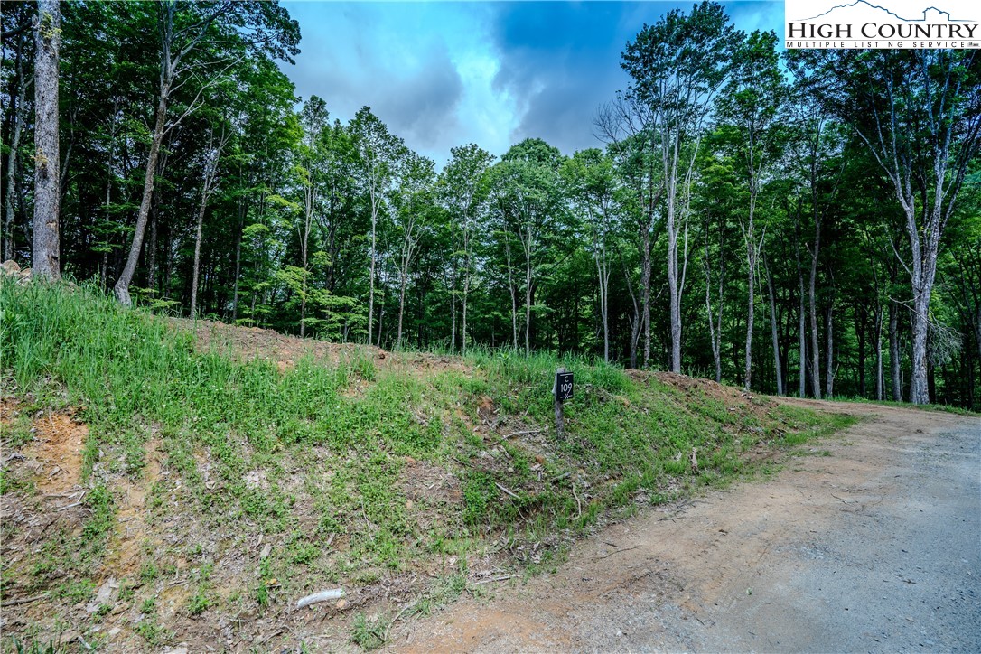 C-109 Mossy Bark Trail Property Photo 2