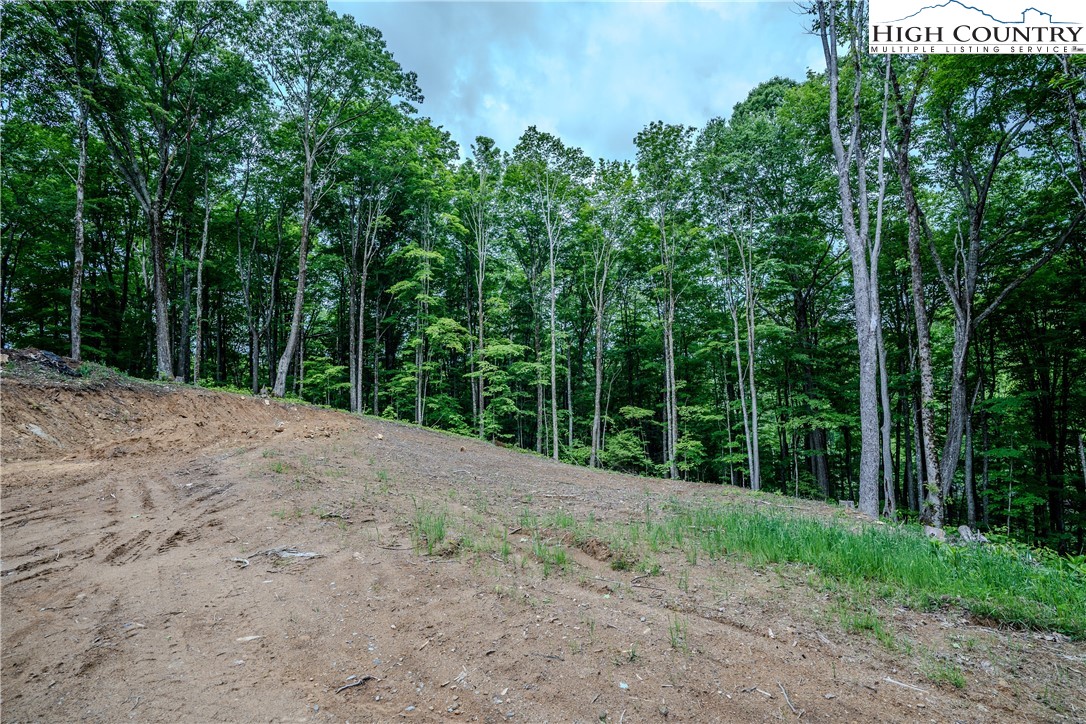 C-109 Mossy Bark Trail Property Photo 5