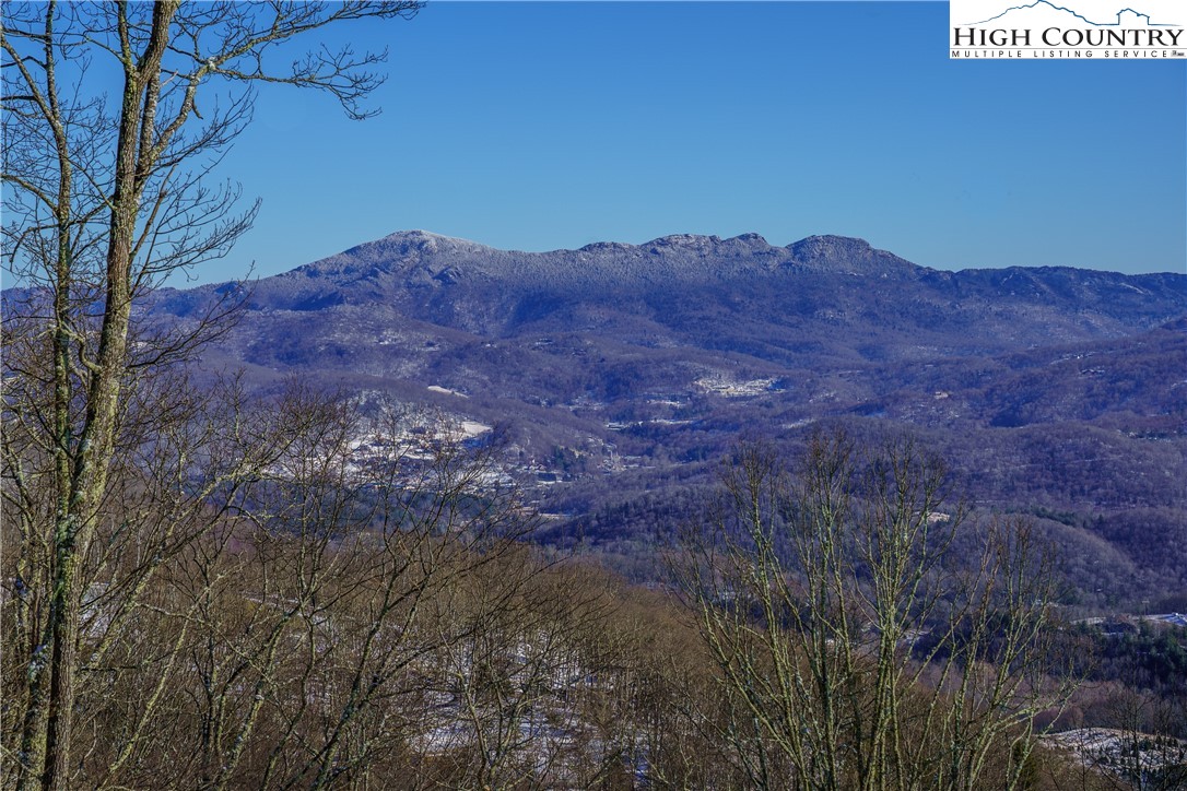 C-109 Mossy Bark Trail Property Photo 33