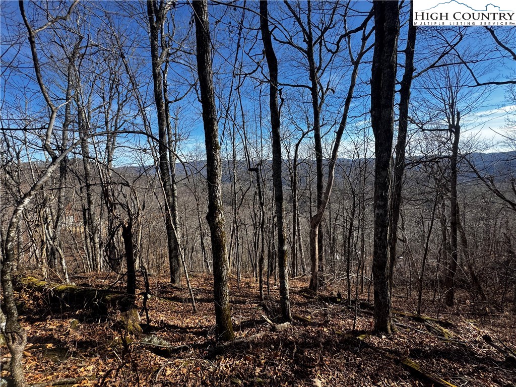 Lots 8 & 9 Rocky Top Trail