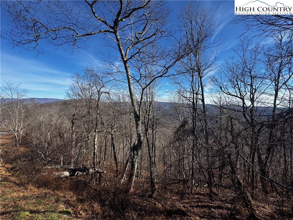 Lots 8 & 9 Rocky Top Trail Property Photo 3