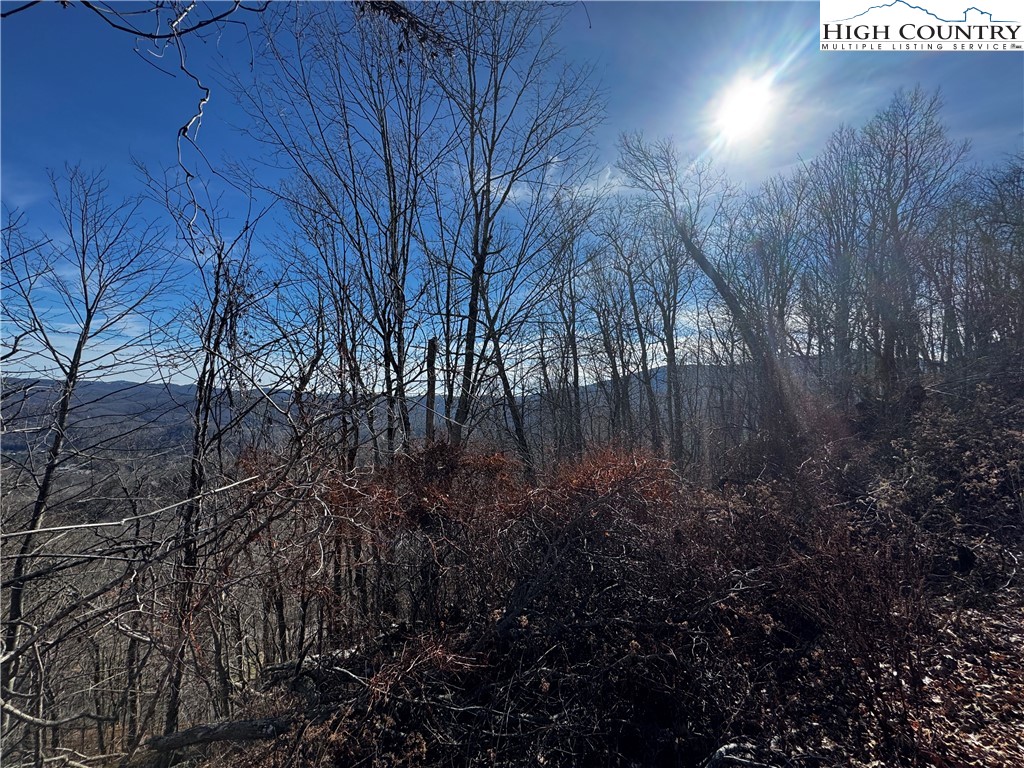Lots 8 & 9 Rocky Top Trail Property Photo 4
