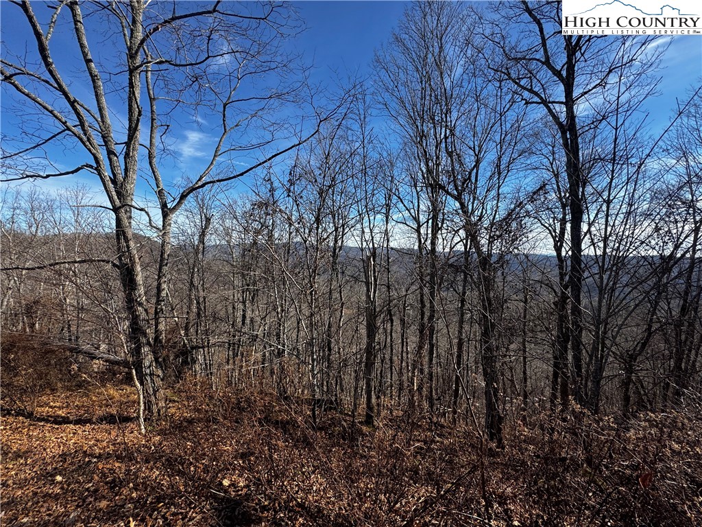 Lots 8 & 9 Rocky Top Trail Property Photo 5