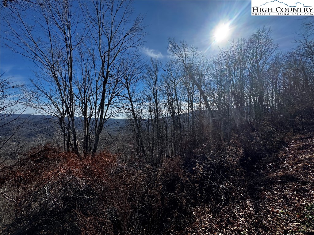 Lots 8 & 9 Rocky Top Trail Property Photo 6