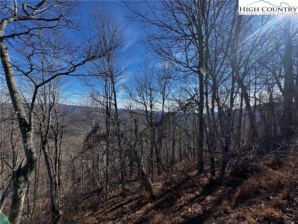 Lots 8 & 9 Rocky Top Trail Property Photo 7