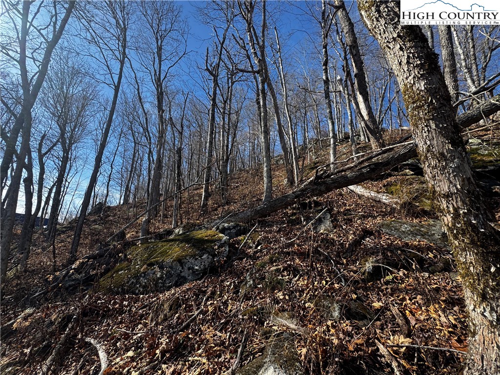 Lots 8 & 9 Rocky Top Trail Property Photo 8