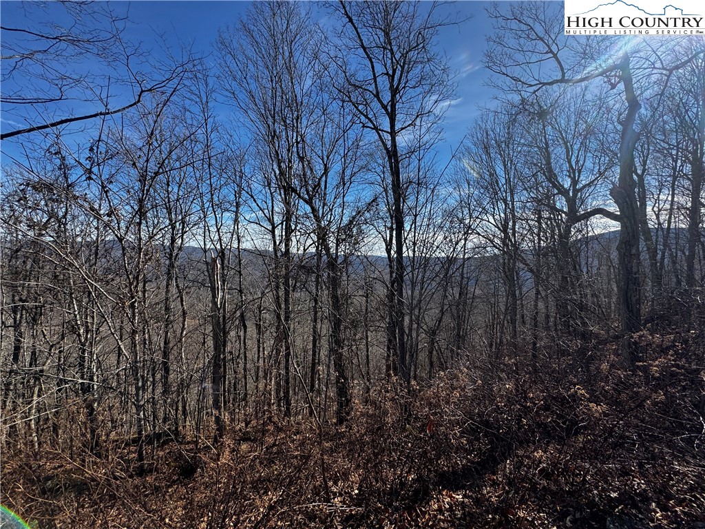 Lots 8 & 9 Rocky Top Trail Property Photo 9