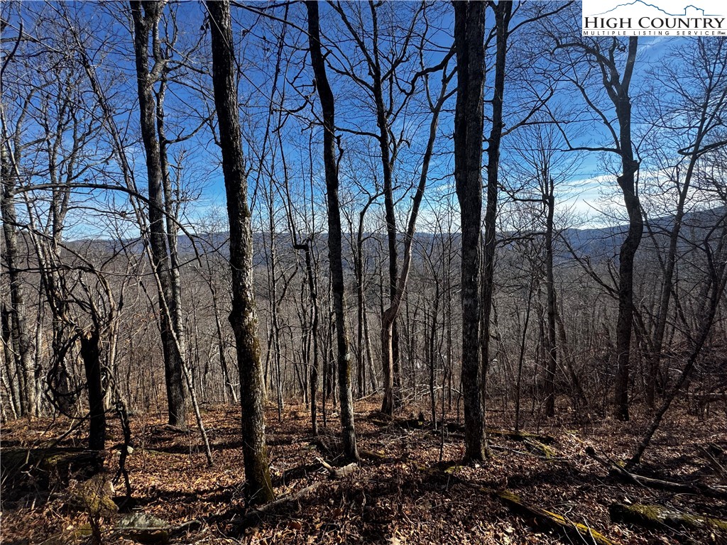 Lots 8 & 9 Rocky Top Trail Property Photo 10