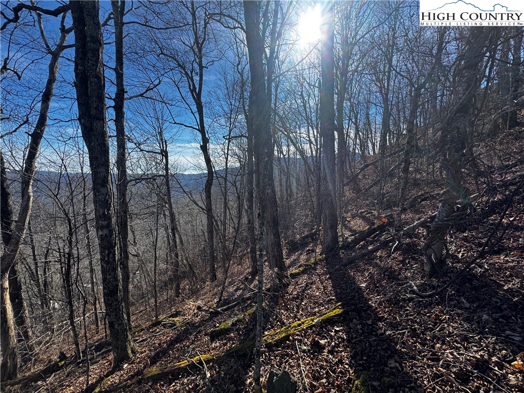 Lots 8 & 9 Rocky Top Trail Property Photo 11