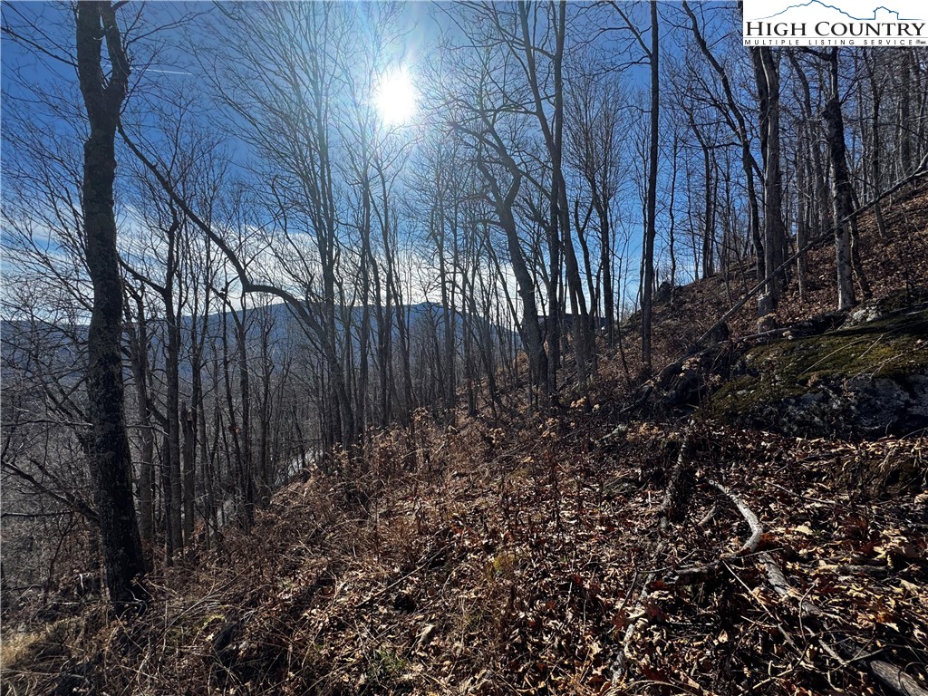 Lots 8 & 9 Rocky Top Trail Property Photo 12