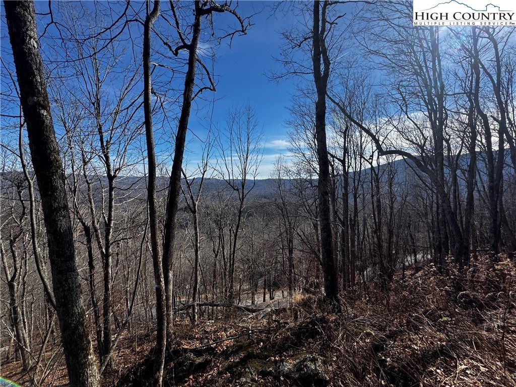 Lots 8 & 9 Rocky Top Trail Property Photo 13