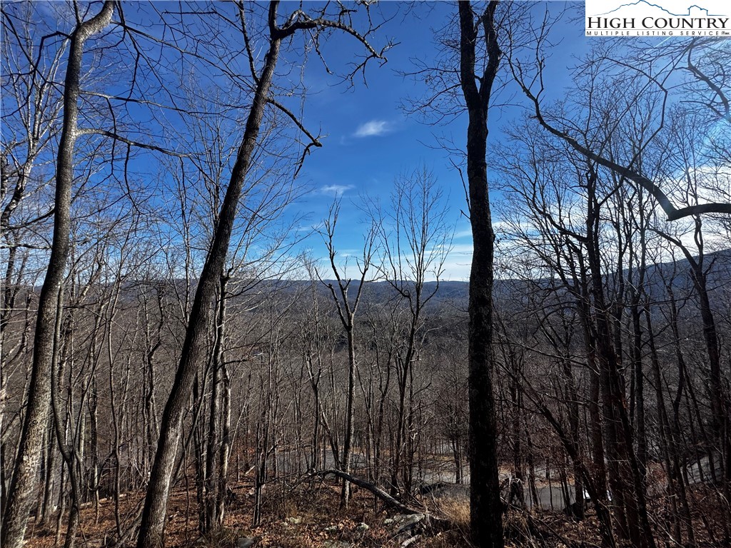 Lots 8 & 9 Rocky Top Trail Property Photo 14