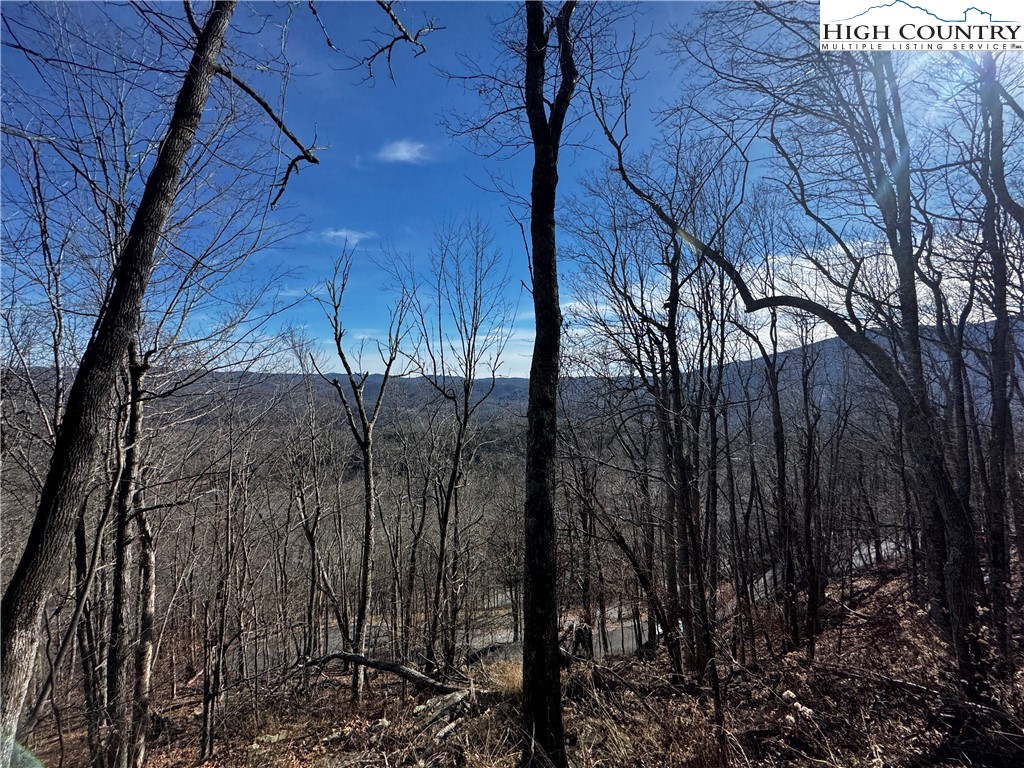 Lots 8 & 9 Rocky Top Trail Property Photo 15