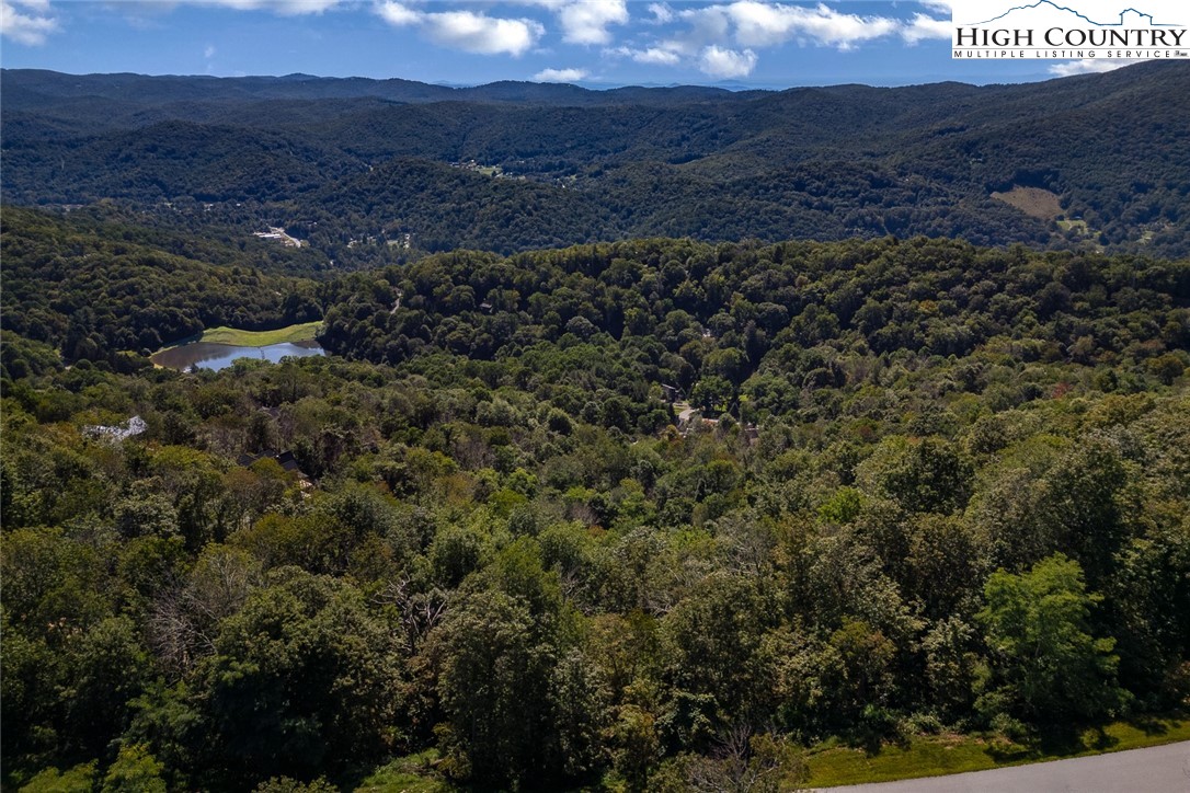 Lots 8 & 9 Rocky Top Trail Property Photo 18