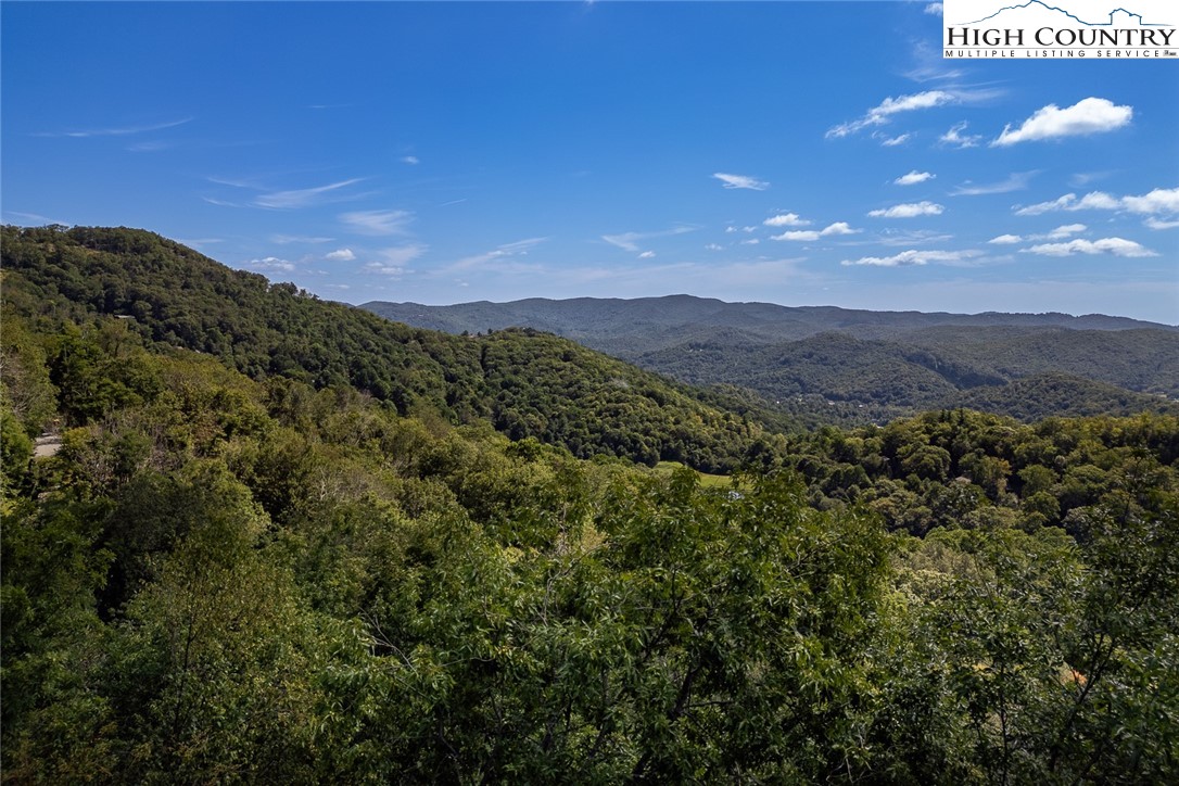 Lots 8 & 9 Rocky Top Trail Property Photo 20