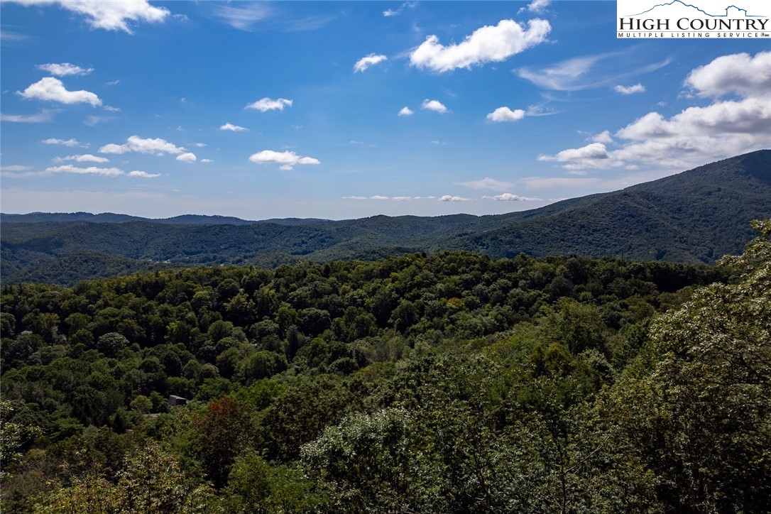 Lots 8 & 9 Rocky Top Trail Property Photo 21