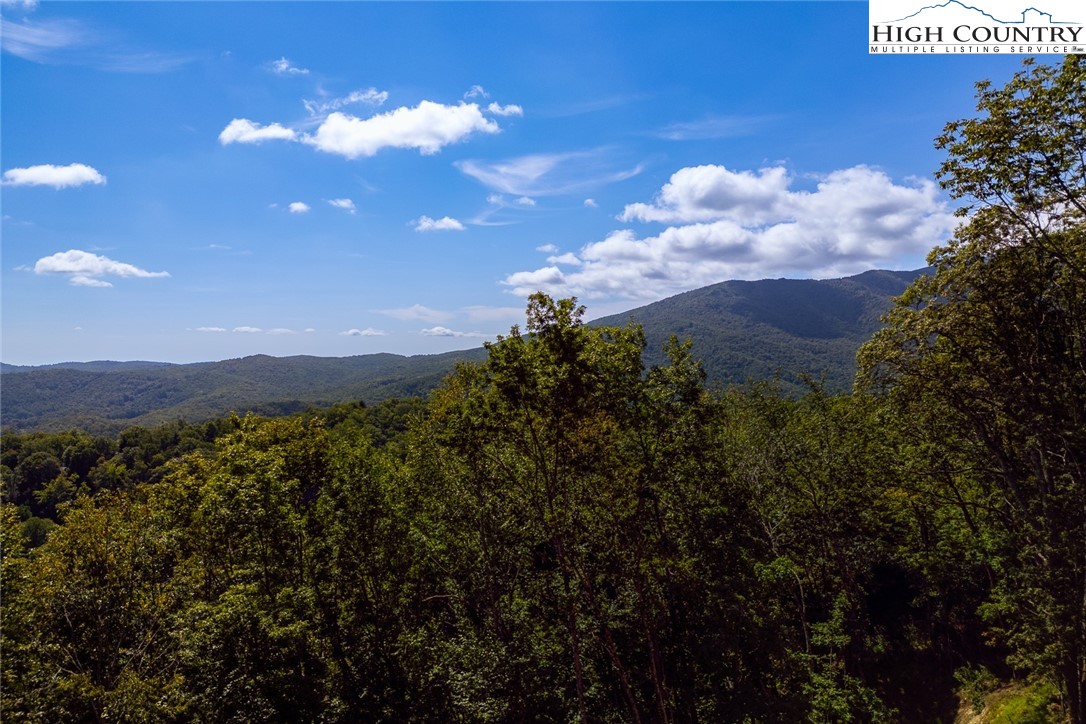 Lots 8 & 9 Rocky Top Trail Property Photo 22