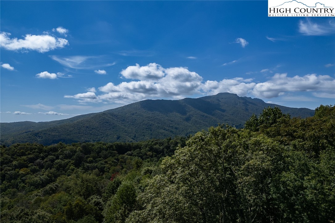 Lots 8 & 9 Rocky Top Trail Property Photo 23