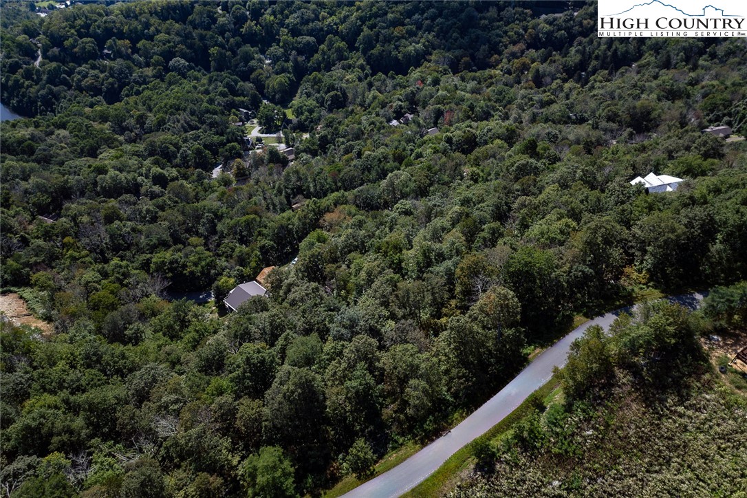 Lots 8 & 9 Rocky Top Trail Property Photo 27