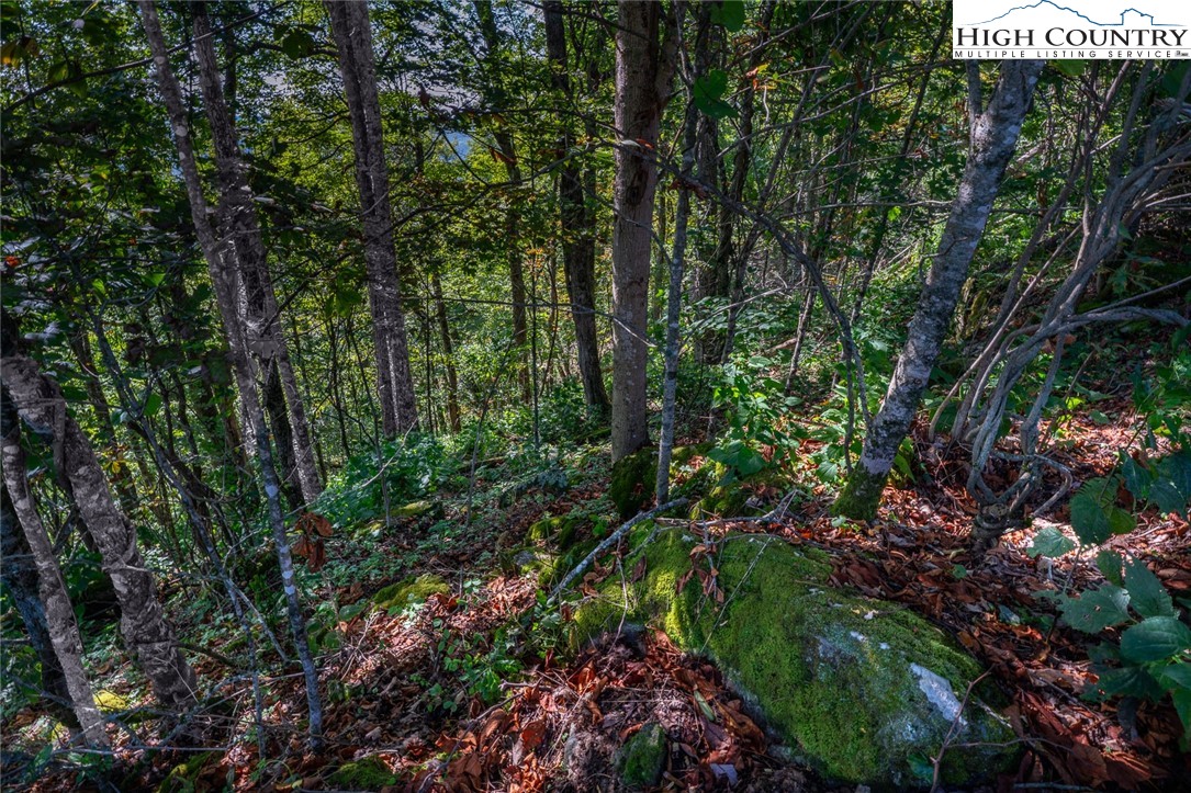 Lots 8 & 9 Rocky Top Trail Property Photo 28