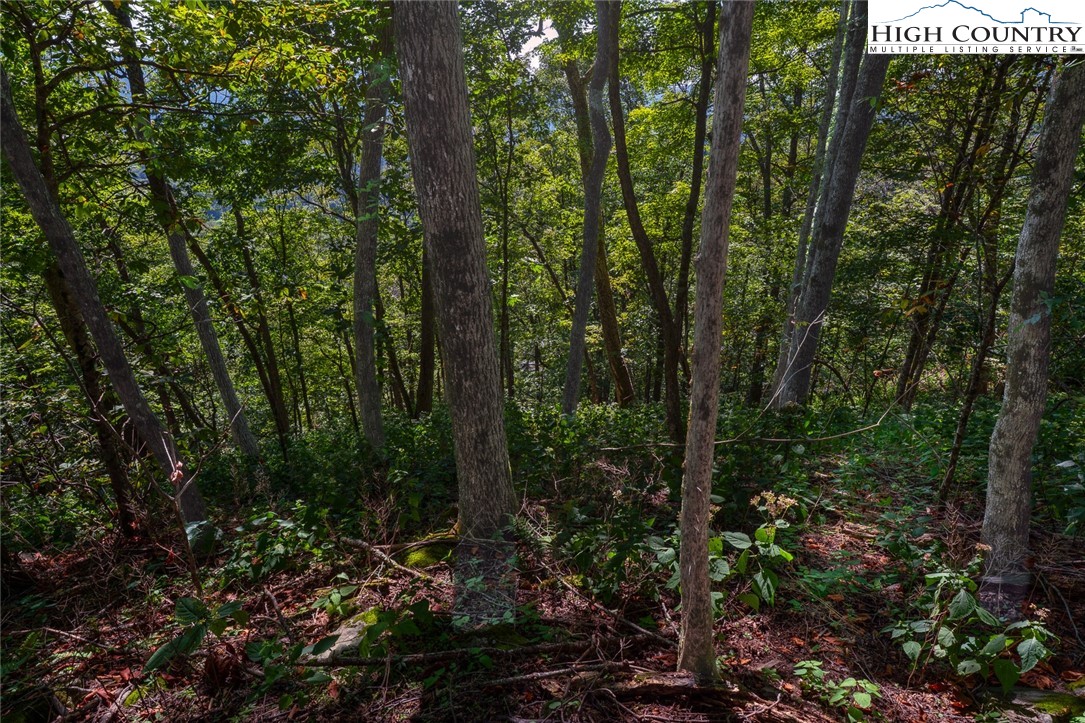 Lots 8 & 9 Rocky Top Trail Property Photo 29