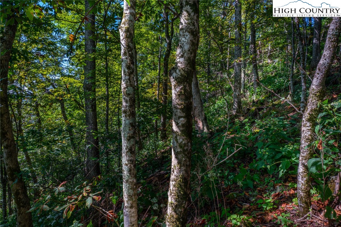 Lots 8 & 9 Rocky Top Trail Property Photo 30