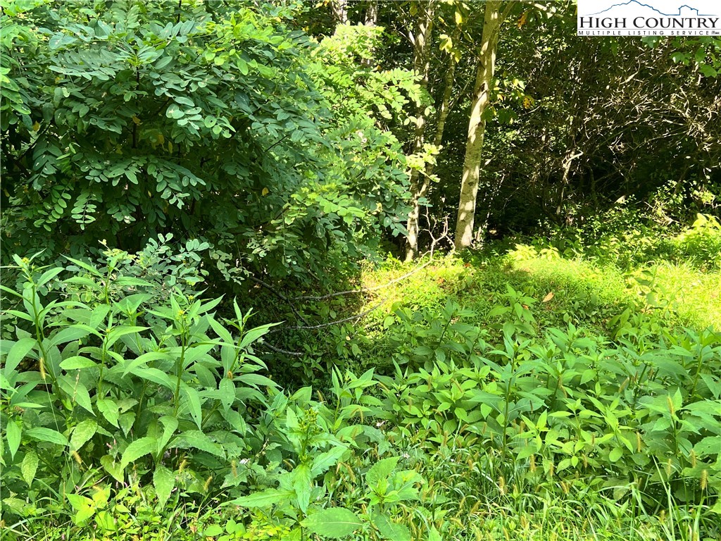 Lot 7 Old Barn Road Property Photo 2
