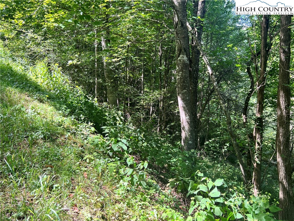 Lot 7 Old Barn Road Property Photo 3
