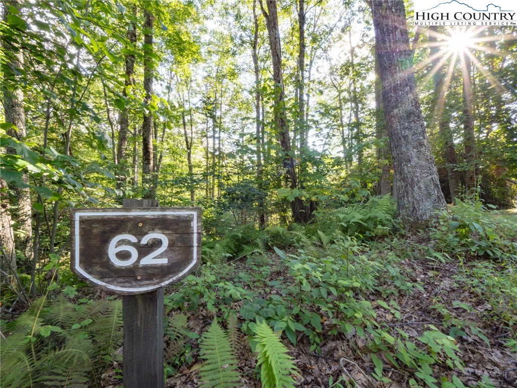 Tbd Mountain Breeze Knoll Property Photo 2
