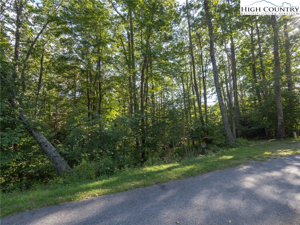 Tbd Mountain Breeze Knoll Property Photo 6