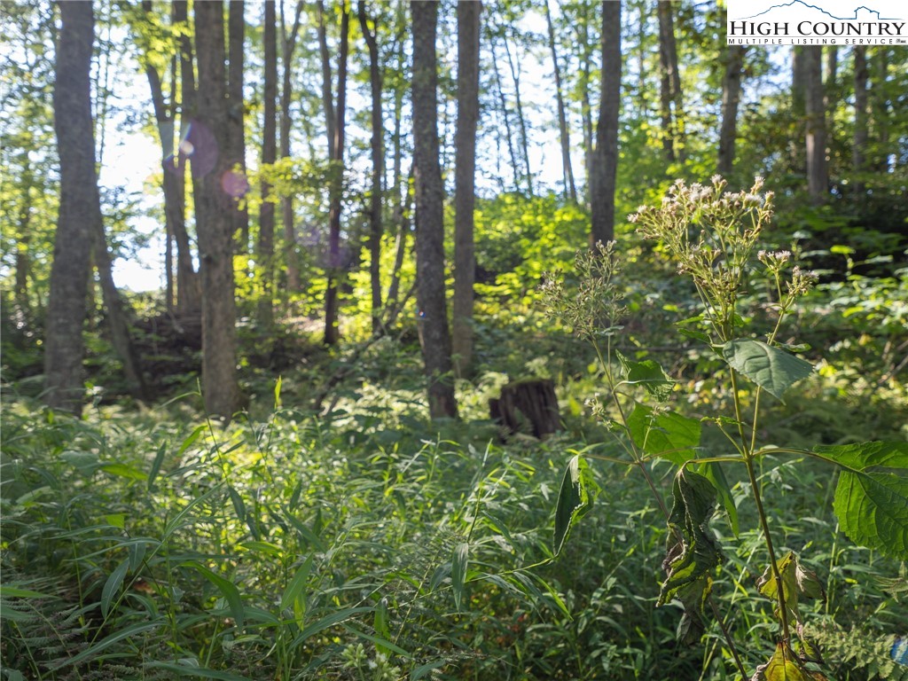 Tbd Mountain Breeze Knoll Property Photo 7
