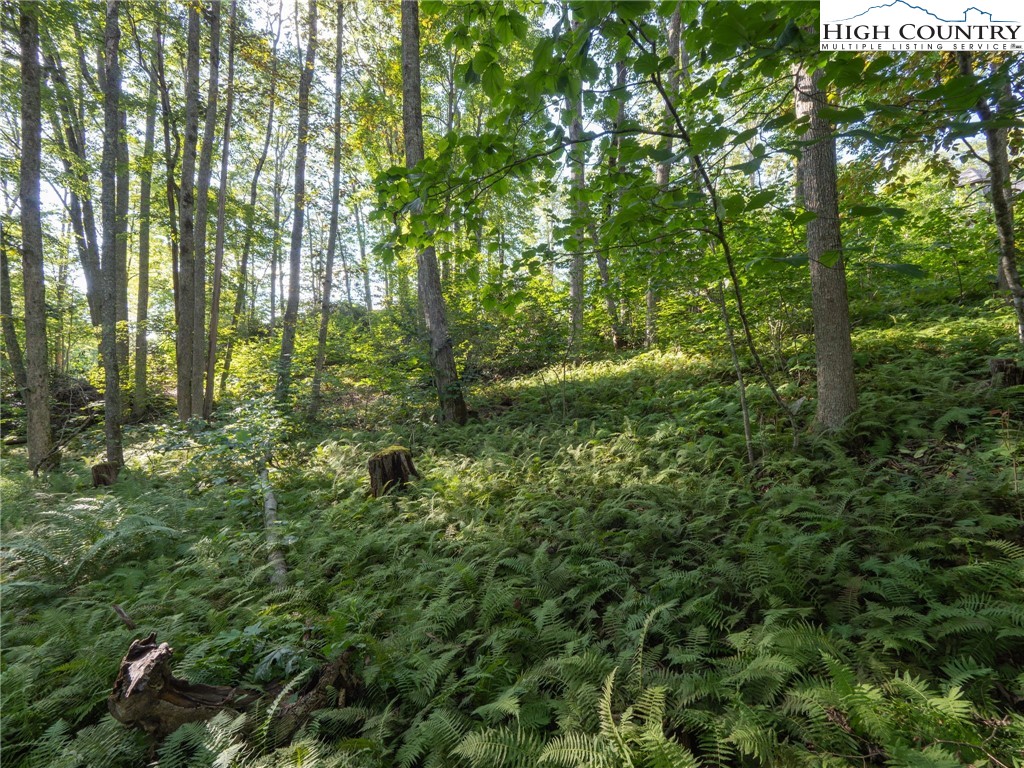 Tbd Mountain Breeze Knoll Property Photo 9