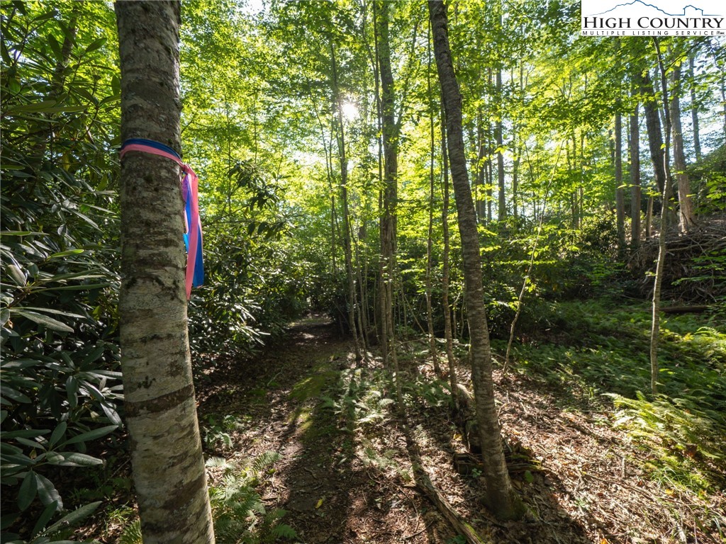 Tbd Mountain Breeze Knoll Property Photo 18