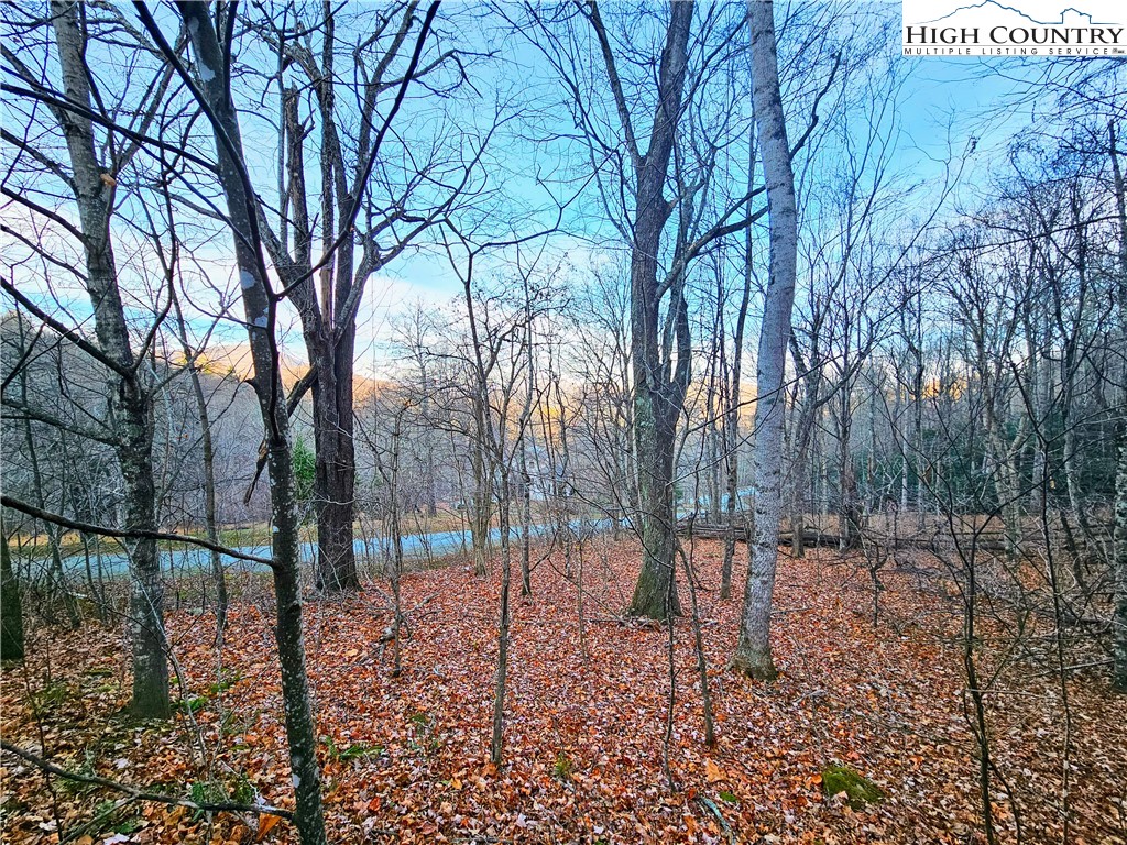 Tbd Grande Maple Court Property Photo 1