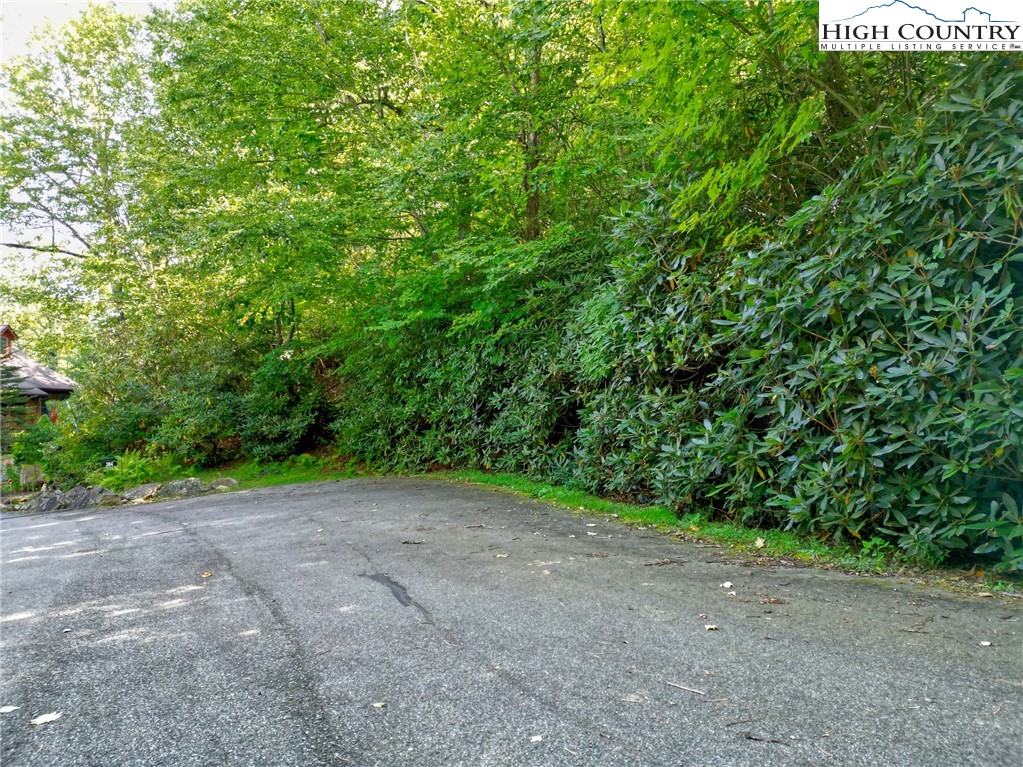 Tbd Highland Lakes Road Property Photo 2