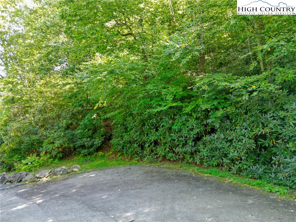 Tbd Highland Lakes Road Property Photo 11