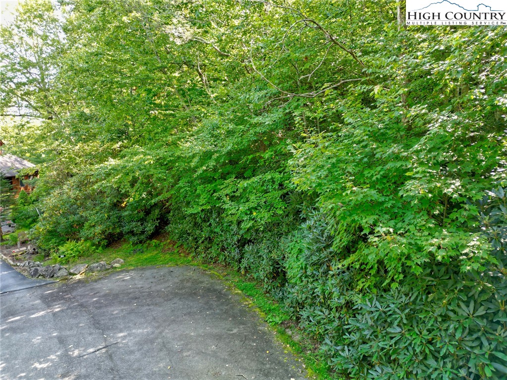 Tbd Highland Lakes Road Property Photo 12