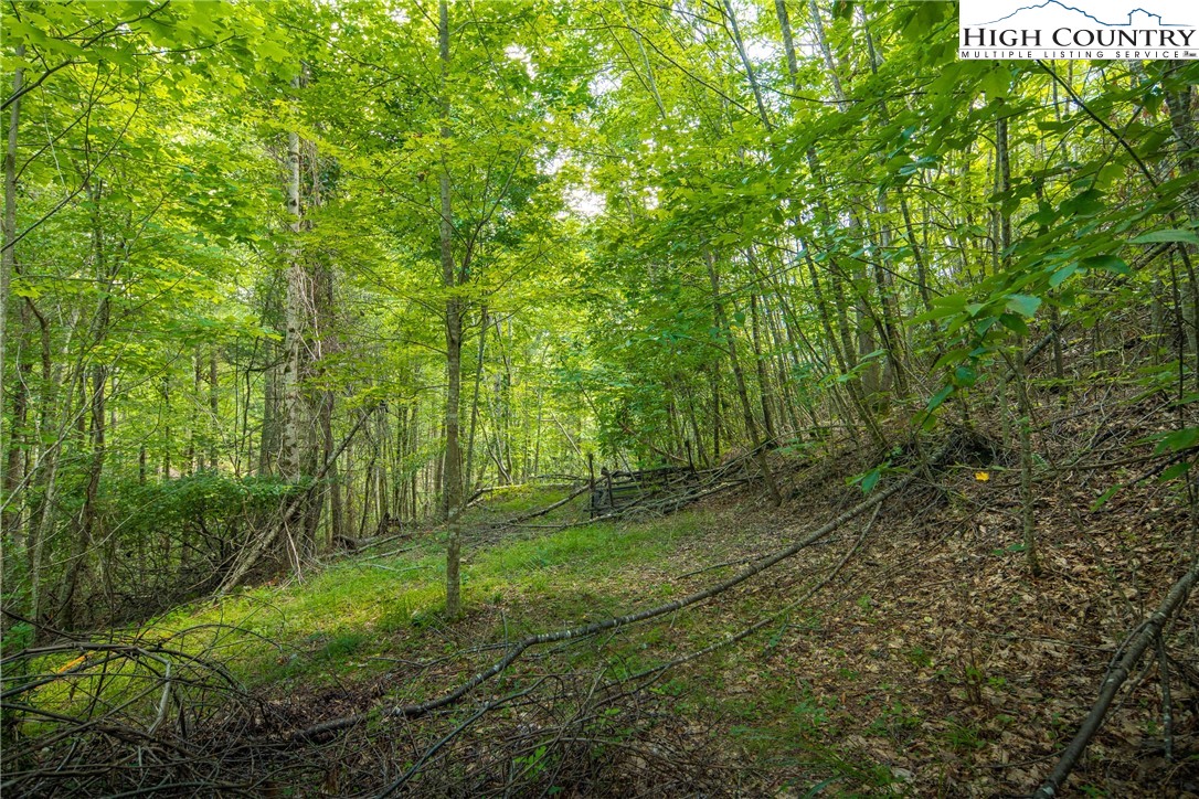 Tbd Beaver Damn Road Property Photo 2