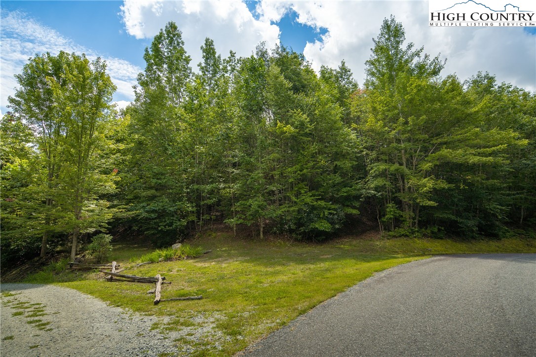 Tbd Beaver Damn Road Property Photo 8