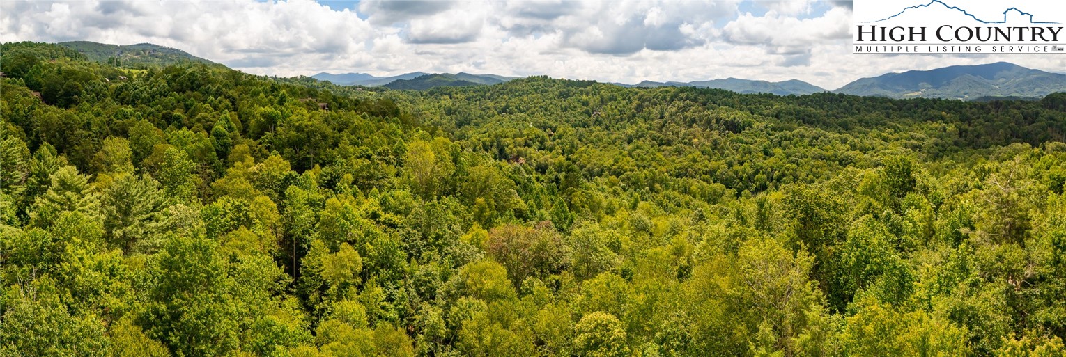 Tbd Beaver Damn Road Property Photo 11