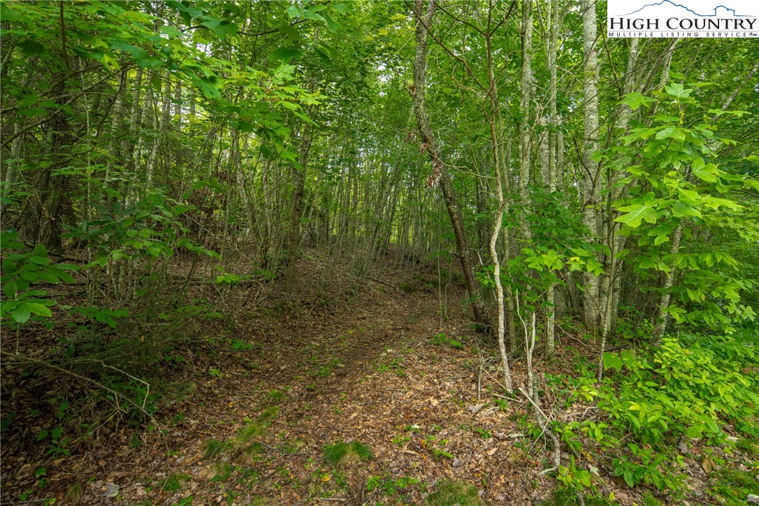 Tbd Beaver Damn Road Property Photo 12
