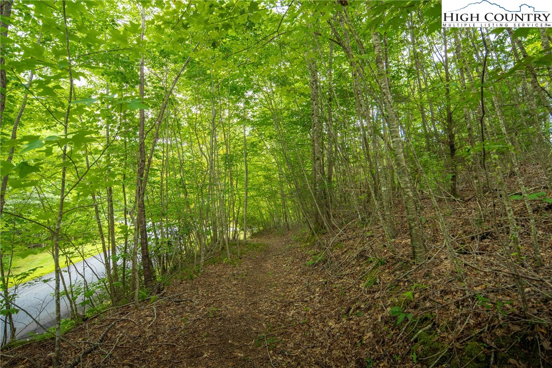 Tbd Beaver Damn Road Property Photo 13